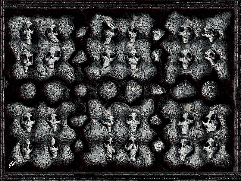 A Box of Fossilized Memories