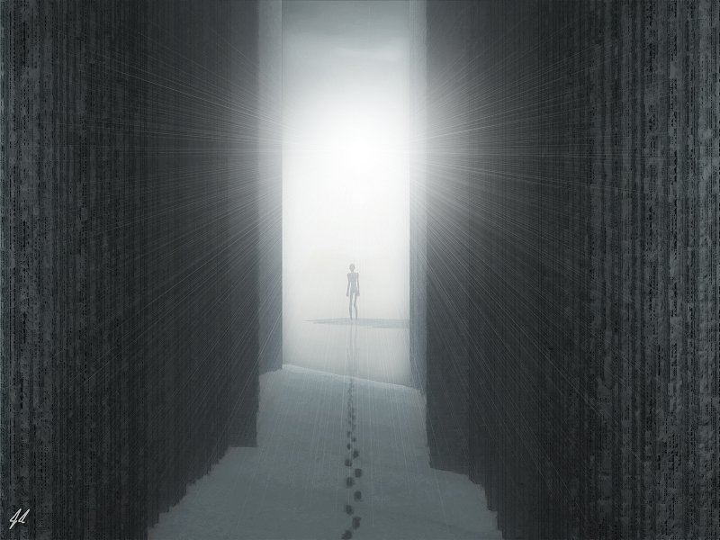 The Wanderer