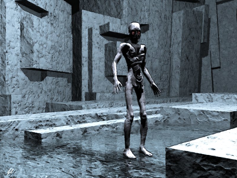 The World Through Xenophobic Eyes