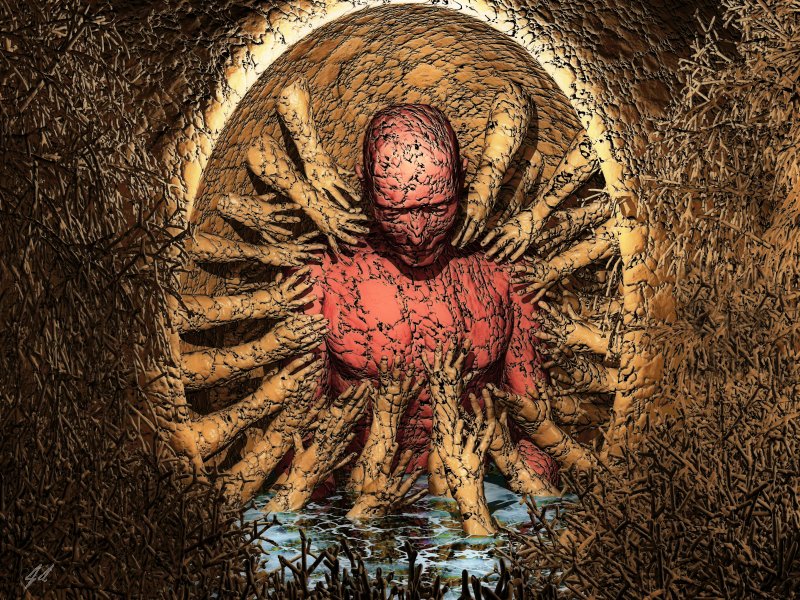 Seeking Comfort Within