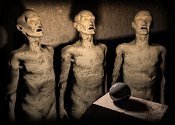 Dream of The Wisemen