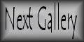 Next Gallery