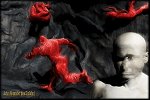 Schizophrenic Lucidity