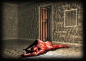 The Prisoner